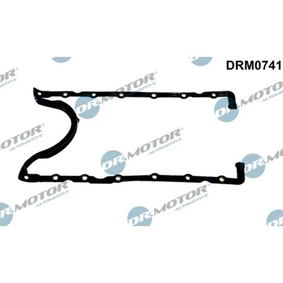 USZCZELKA, INDAS ALYVOS DR.MOTOR AUTOMOTIVE DRM0741 