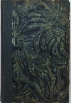 Pałac i rudera - Prus