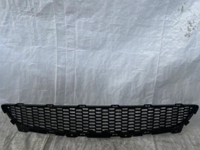 Решітка бампера bmw z4 e89 фото №1