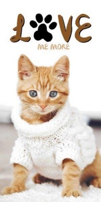Ręcznik 70x140 kąpielowy kot kotek w swetrze