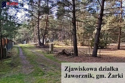 Działka, Jaworznik, Żarki (gm.), 6970 m²