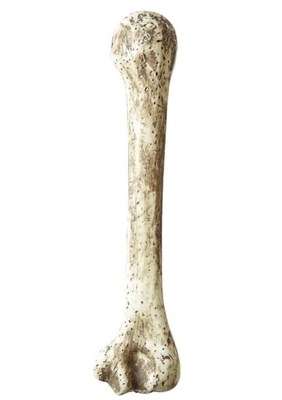 Plastikowa kość 35cm