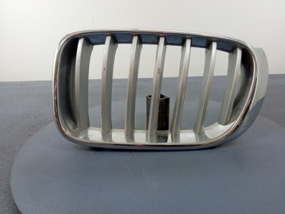 Bmw x3 f25 решітка радіатора решітка радіатора решітка радіатора ліва 7237421 фото №1