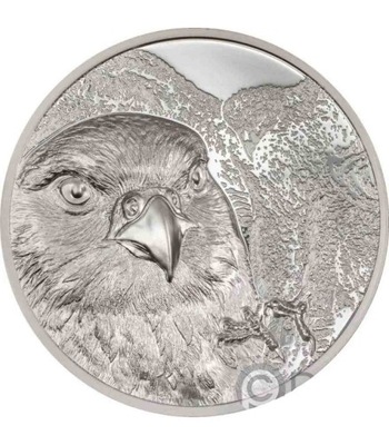 Srebrna moneta Falcon Wild Mongolia 1 uncja srebra 2023 Proof próba 999