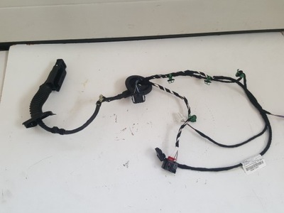 VW PASSAT B8 3G0971694F JUEGO DE CABLES DE PUERTA DERECHA PARTE TRASERA  