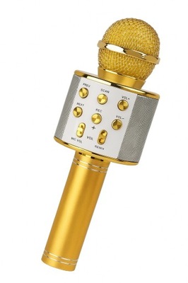 MIKROFON DLA DZIECI mikrofon KARAOKE mikrofon bezprzewodowy Z GŁOŚNIKIEM