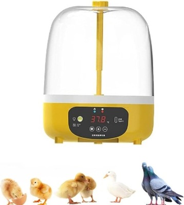 Inkubator Automatyczny inkubator do jaj, Przezroczysta pokrywa ?atwa w