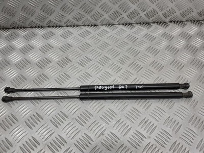 Амортизатори кришки задня peugeot 607 фото №1