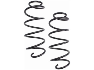 Пружины перед kyb ra4053 фото №1