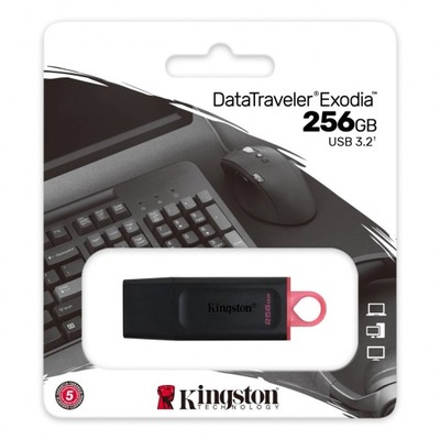 KINGSTON PENDRIVE PAMIĘĆ DTX USB 3.0 256 GB