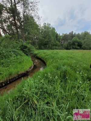 Działka, Smólnik, 6295 m²