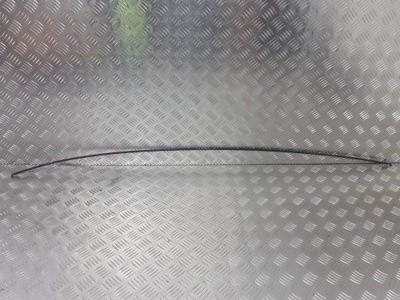 Молдинг дахова renault laguna iii 2.0 dci фото №1