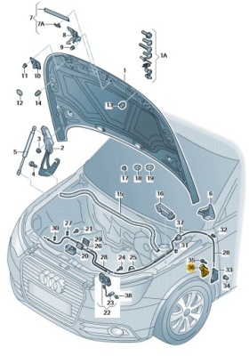 Кронштейн открывания передней капот audi a1 aso оригинал фото №1