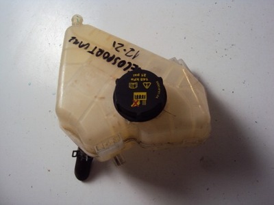 Бачок расширительный ford ecosport mk2 12-21 фото №1