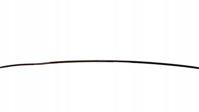 Молдинг дахова nissan primera p11 фото №1