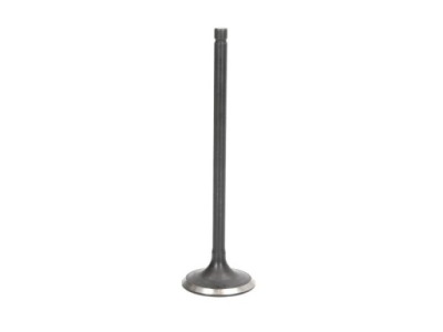 FRECCIA R4895/RNT КЛАПАН ВЫПУСКНОЙ 