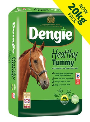 Pasza Dengie Tummy 20kg DENGIE 20 kg