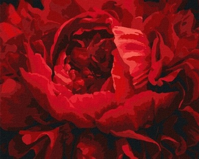 Malowanie po numerach Wyśmienity kwiat 40x50cm
