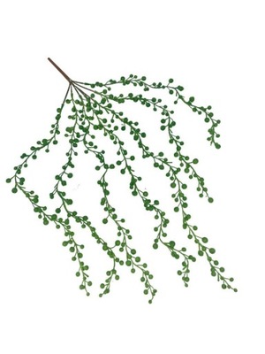 Senecio sukulent 60 cm zielony