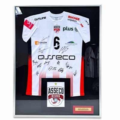 Asseco Resovia - koszulka z autografami w ramie (clu)