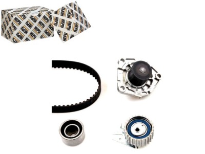 Набір розподільного валу насос lancia thesis 2.4 d multijet фото №1