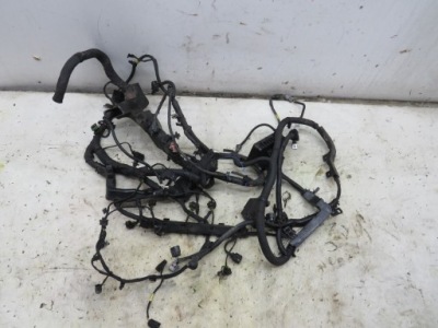 Жгут электропроводка двигателя kia sportage iii 1.7 crdi фото №1