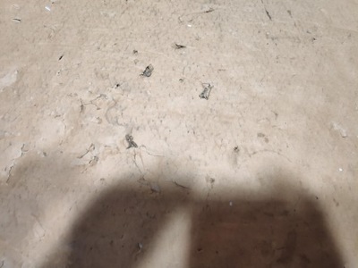 Захист стійка лівий перед peugeot expert iii 9808680477 фото №1