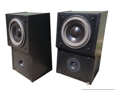 Dynaudio 100 kolumny monitory wysokiej klasy