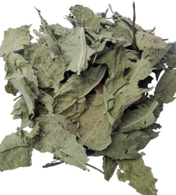 Mniszek lekarski liść 100g