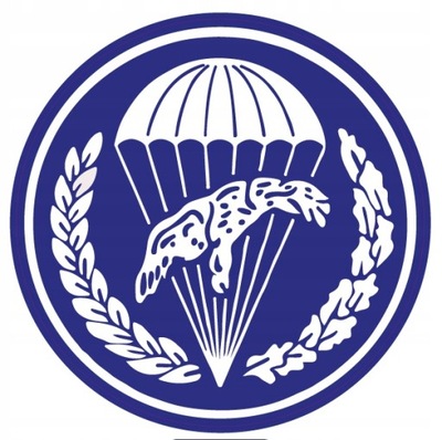 6 batalion powietrznodesantowy