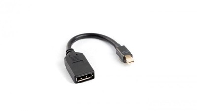 Adapter mini DisplayPort - DisplayPort czarny