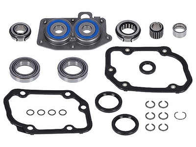 JUEGO DE REPARACIÓN CAJAS DE TRANSMISIÓN INA GEAR  