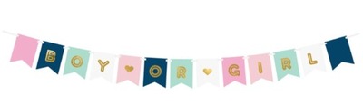 Baner Girlanda Boy Or Girl Baby Shower Narodziny