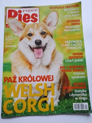 Przyjaciel Pies magazyn Welsh Corgi nr 10 2014