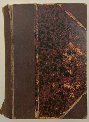 Lubonie. Tom I-II - J. I. Kraszewski