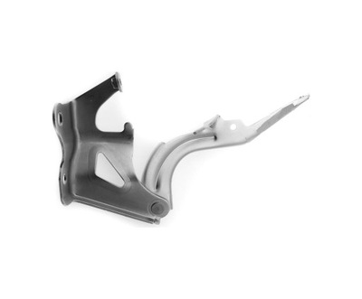 TOYOTA AVALON 2013 - 18 HINGE HOOD L  