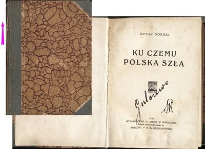 Ku czemu Polska szła 1918 Artur Górski