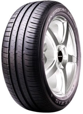 2 X PADANGOS VASARINĖS MAXXIS ME3 205/65R15 94H 