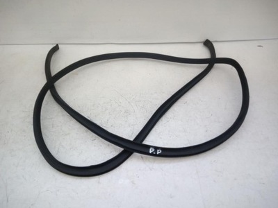 Прокладка двері правий перед hyundai i10 1.1 фото №1