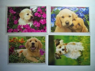 Pies..., psy... - 4 pocztówki.