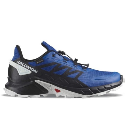 Salomon SUPERCROSS 4 GTX L47119600 43 1/3