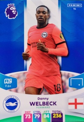 PREMIER LEAGUE 2024 BRIGHTON&HOVE 96 DANNY WELBECK