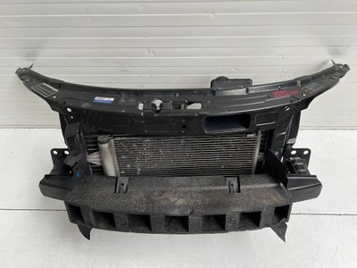 Pas передній радіатор skoda roomster фото №1