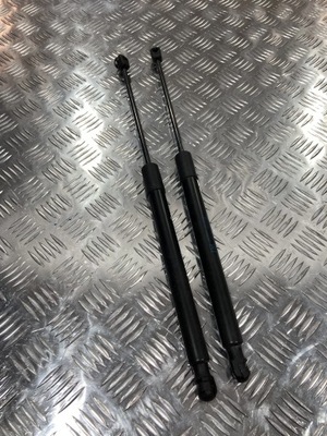 Амортизатори кришки задня citroen c3 aircross 18- фото №1