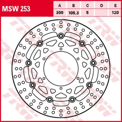 DISKU STABDŽIŲ PRIEK. TRW MSW253 