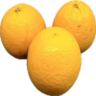 POMARAŃCZ Świeża soczysta pomarańcze owoc 1 kg