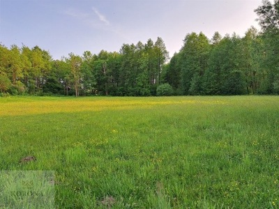 Działka, Rybczyzna, Rajgród (gm.), 4504 m²