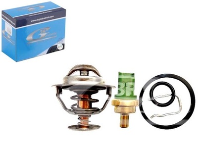 Набор термостат czjnik уплотнители 3rg фото №1