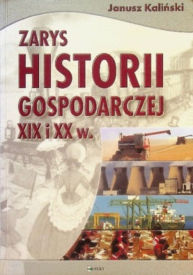 Zarys historii gospodarczej XIX i XX w.