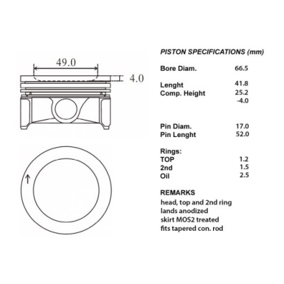 Iap quality parts 100-00110 поршень фото №1
